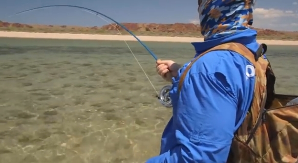 Image: Mick Fletoridis